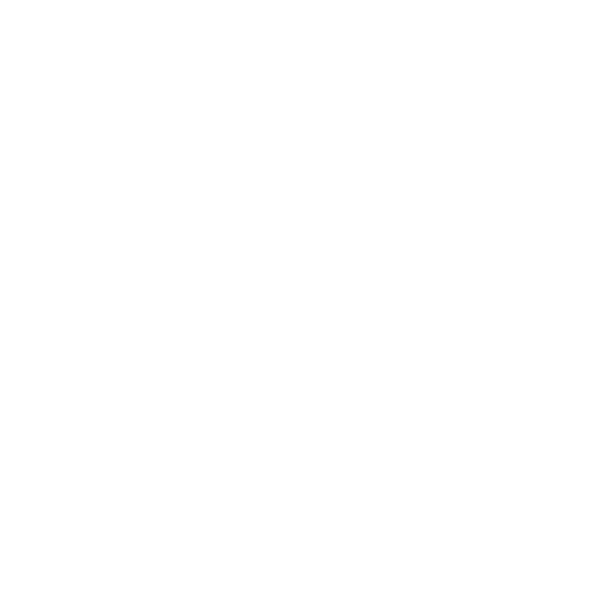 Kansas City Southern Lines